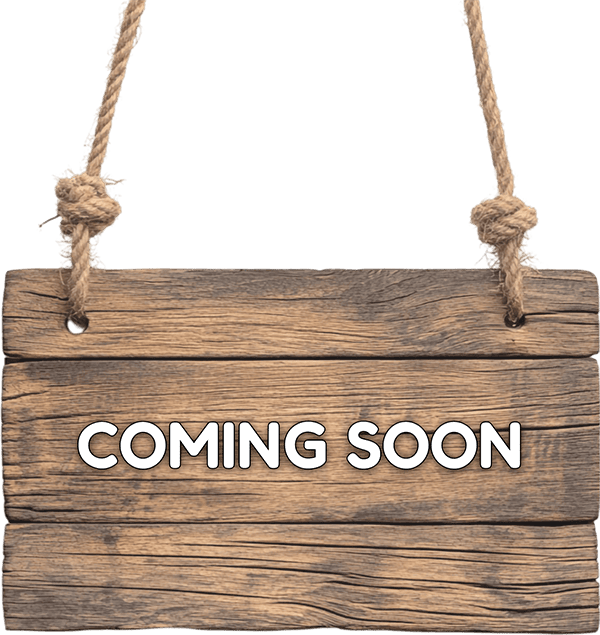 Solutions Connectées